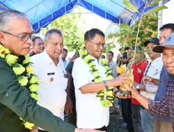 Gubernur Sulteng Serahkan 30 Ribu Bibit ke Kelompok Tani di Banggai