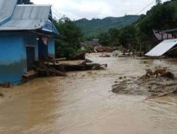 Banjir Bandang di Parigi Moutong Menelan Korban