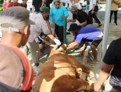 Idul Adha 1445 H, Polda Sulteng Siapkan 60 Ekor Hewan Kurban