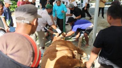 Idul Adha 1445 H, Polda Sulteng Siapkan 60 Ekor Hewan Kurban