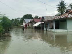 Banjir Kembali Merendam Desa Sambo, Kabupaten Sigi: 14 Rumah Terdampak