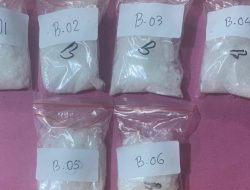 6 Paket Shabu 291,87 Gram Diamankan Satresnarkoba Polresta Palu