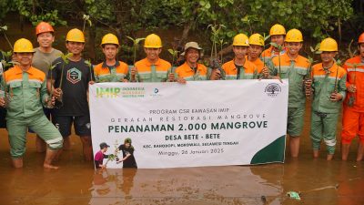 PT IMIP Tanam 2.000 Bibit Mangrove untuk Restorasi Pesisir Bahodopi