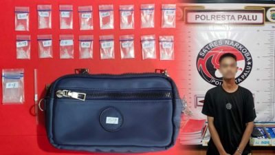Satresnarkoba Polresta Palu Berhasil Bongkar 16 Paket Sabu