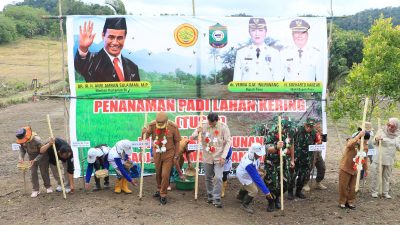 Penanaman Padi di Lahan Kering Poso: Dukungan Pemerintah untuk Ketahanan Pangan