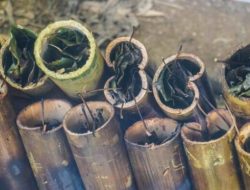 Ituwu, Cara Memasak di Bambu Dalam Tradisi Kuliner di Poso