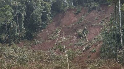BPBD Parimo: Tujuh Warga Tertimbun Longsor, Evakuasi Korban Masih Berlangsung