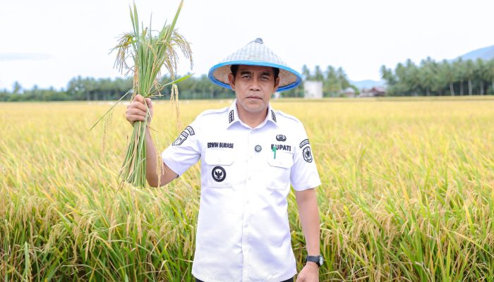 Panen di Kasimbar Palapi Jadi Bukti Kuatnya Kolaborasi Pemerintah dan Warga