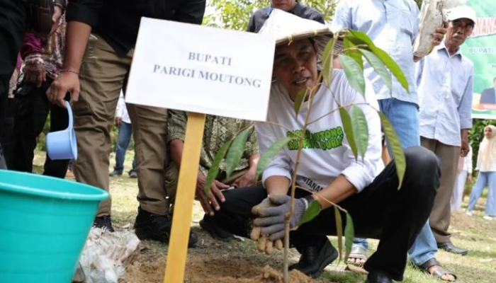 Erwin Burase: Durian Adalah Investasi Jangka Panjang Daerah