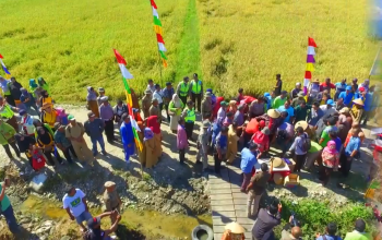 Panen Raya Dinas Tanaman Pangan, Holtikultura dan Perkebunan Parigi Moutong