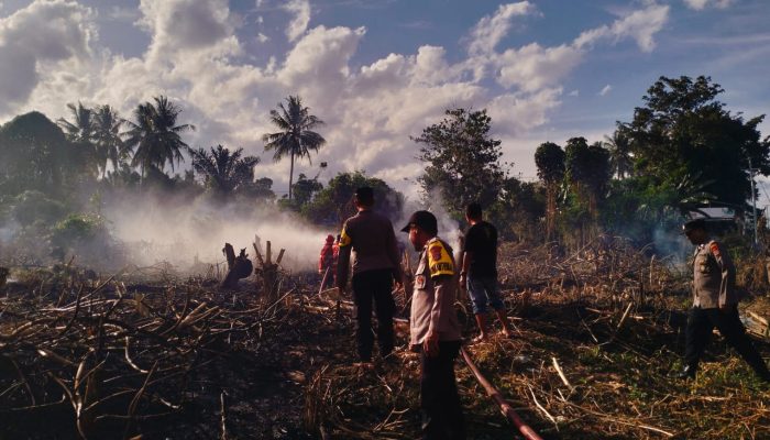 Area Pekuburan Umum Baliara Terbakar, Api Berhasil Dipadamkan