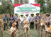 Pemda Parigi Moutong Perkuat Dukungan Program Swasembada Pangan