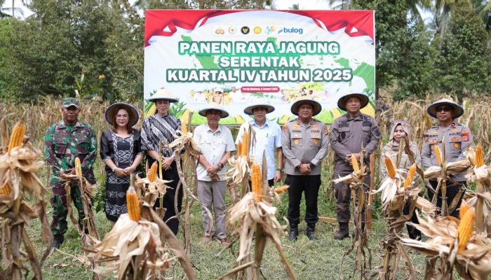 Pemda Parigi Moutong Perkuat Dukungan Program Swasembada Pangan