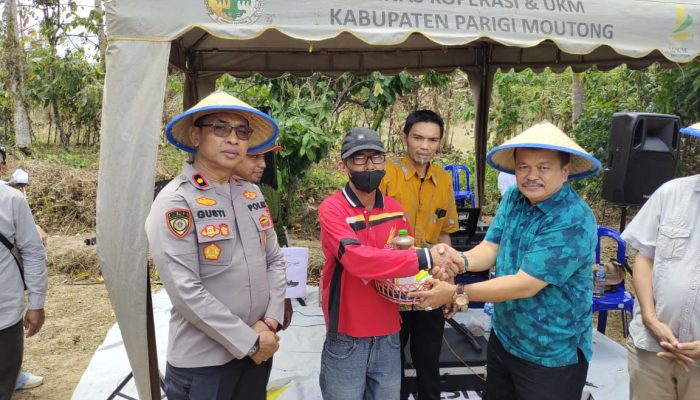 Sinergi Polri dan Pemda Perkuat Ketahanan Pangan Parigi Moutong lewat Panen Raya Jagung