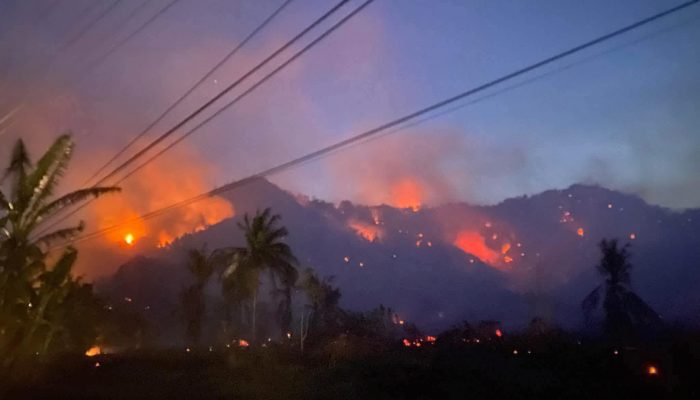 Kebakaran Hutan dan Lahan Terjadi di Desa Avolua, 20 Hektare Lahan Terbakar