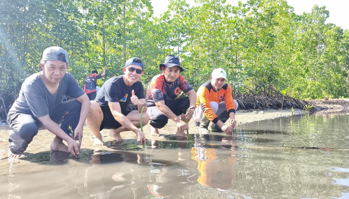 Perkuat Ketahanan Pesisir, BPBD Parigi Moutong Gencarkan Penanaman Mangrove