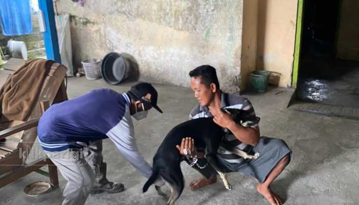 Cegah Penyebaran Rabies, DISPKH Parigi Moutong Perkuat Edukasi dan Vaksinasi