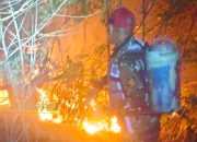 Karhutla di Kasimbar Parigi Moutong Berhasil Dipadamkan, BPBD Lakukan Pemantauan Lanjutan