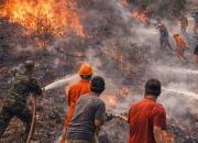 BPBD Parigi Moutong: Waspadai Karhutla di Tengah Cuaca Panas Ekstrem