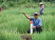 Cegah Sengketa Lahan, ATR/BPN Ajak Masyarakat Perhatikan Batas Tanah
