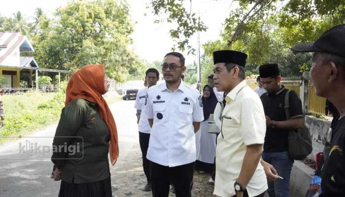 Erwin Burase: Penataan Pohon Pelindung Tak Bisa Ditunda Lagi