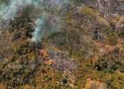 Karhutla Meningkat, Dinkes Parimo Aktifkan Tim Kesehatan Lapangan