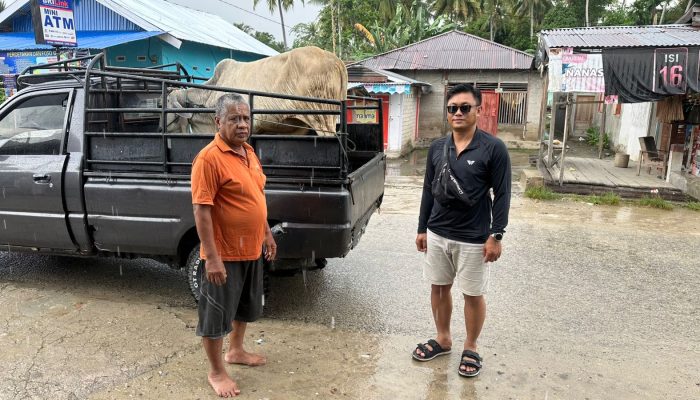 Koperasi IPR Kayuboko Sejahtera Salurkan Sapi Kurban ke Tiga Desa