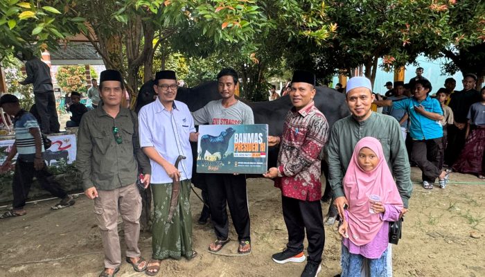 Sapi Kurban Presiden RI untuk Parigi Moutong Disalurkan ke 13 Desa di Bolano Lambunu