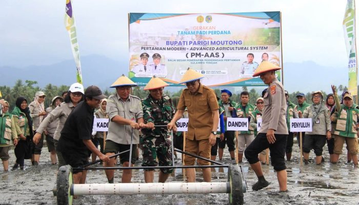 Transformasi Pertanian Dimulai, Bupati Erwin Burase Luncurkan Program PM-AAS