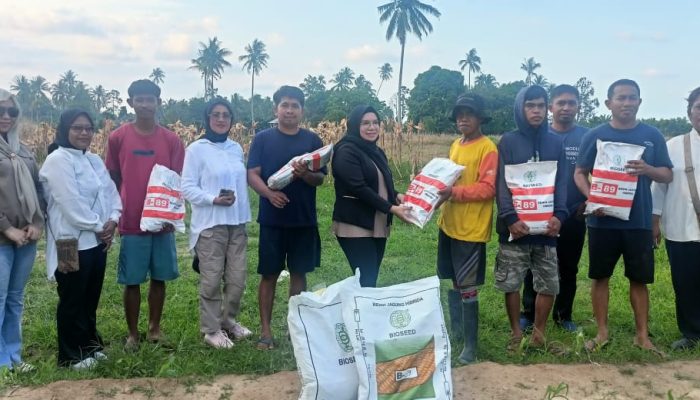 Selpina Basrin Salurkan Bibit Jagung untuk Petani Lobu Mandiri, Perkuat Ketahanan Pangan Daerah