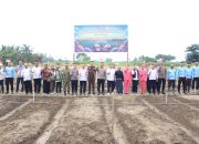 Palasa Jadi Sentra Awal Pengembangan Bawang Putih, Parimo Dukung Swasembada Nasional