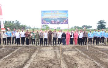 Palasa Jadi Sentra Awal Pengembangan Bawang Putih, Parimo Dukung Swasembada Nasional