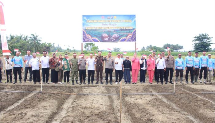 Palasa Jadi Sentra Awal Pengembangan Bawang Putih, Parimo Dukung Swasembada Nasional