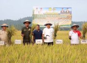 Bupati Erwin Tegaskan Komitmen Lindungi Lahan Pertanian Produktif