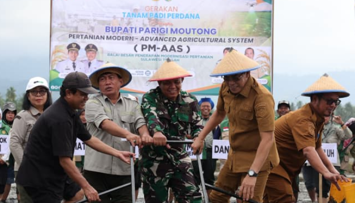 Tingkatkan Produktivitas Padi, BRMP Sulteng Dorong Penerapan Teknologi PM-AAS