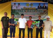 Perkuat Swasembada Pangan, 7.553 Petani Parigi Moutong Dapat Benih M70D