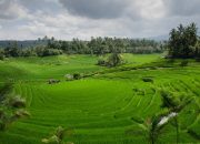 LP2B Nasional Lampaui Target RPJMN, Menteri ATR/BPN Dorong Percepatan Integrasi ke Tata Ruang