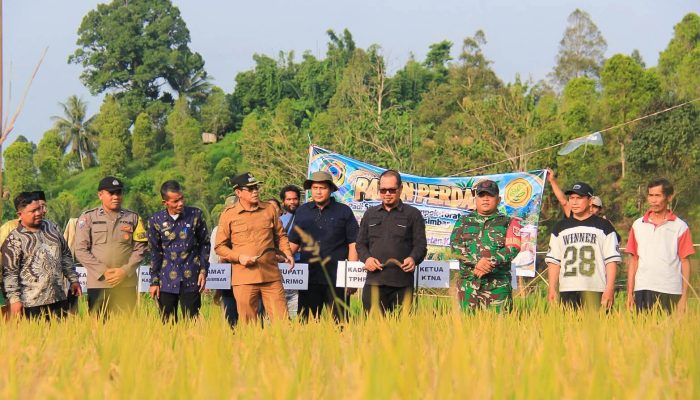Panen Perdana Cetak Sawah 5 Hektare di Kasimbar, Bupati Erwin Dorong Penguatan Produksi Beras